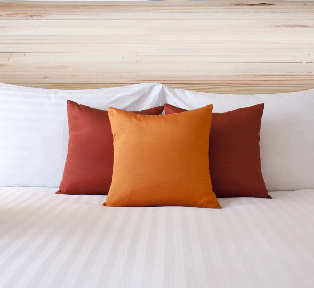 Econo Lodge Inn & Suites Sweetwater I-20 Pokoj fotografie